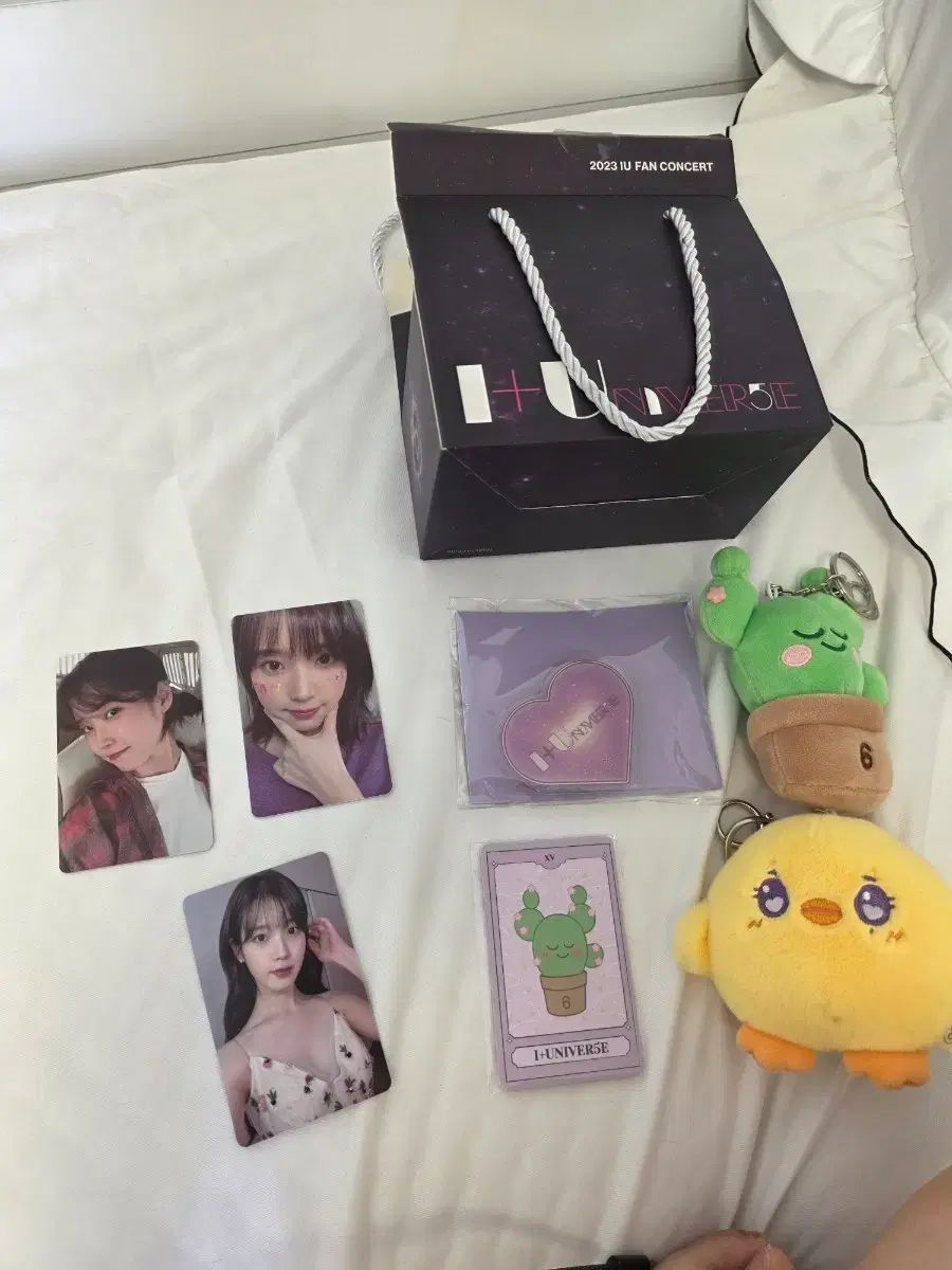 IU ファンコンコンサート Universe
