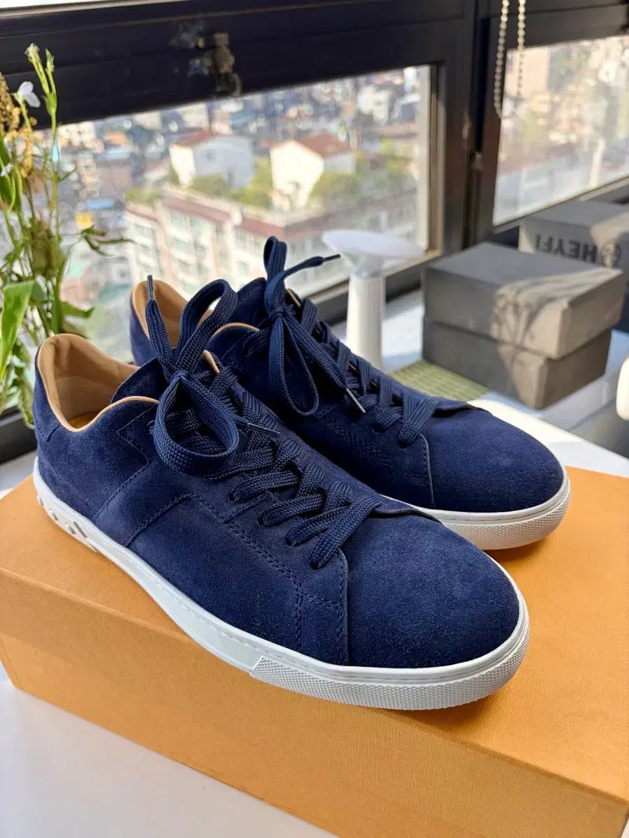 TOD'S トッズ ネイビー スウェード スニーカー 7 5 新品