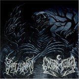 【CD】Split