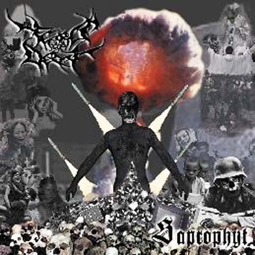 【CD】Saprophyt