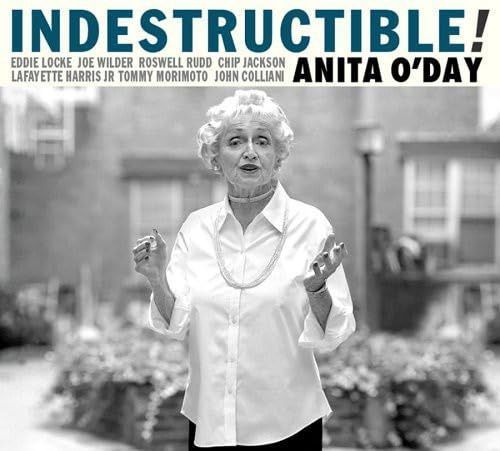 【CD】Indestructible (Dig)