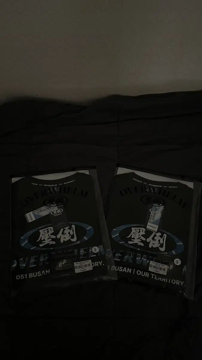 圧倒 2026 プサン 釜山 ポップアップ限定モデル Tシャツ 3サイズ 未開封