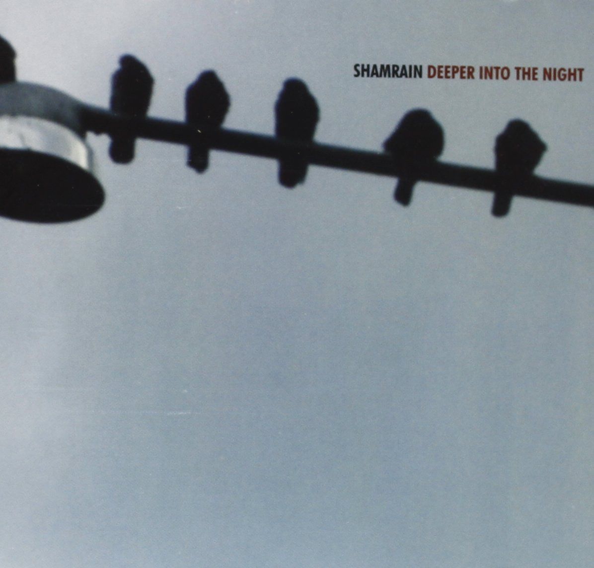 【CD】Deeper Into The Night