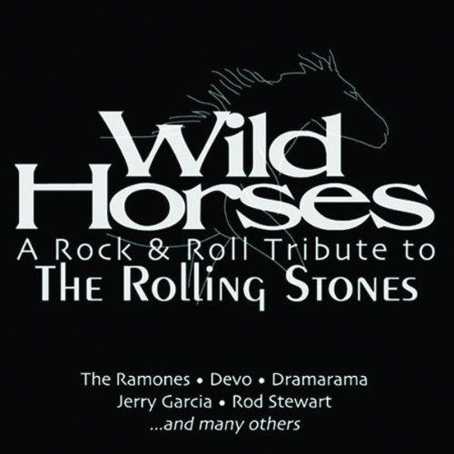 【CD】Wild Horses: A Rock & Roll Tribute to the Rolling