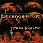 【CD】From Divine