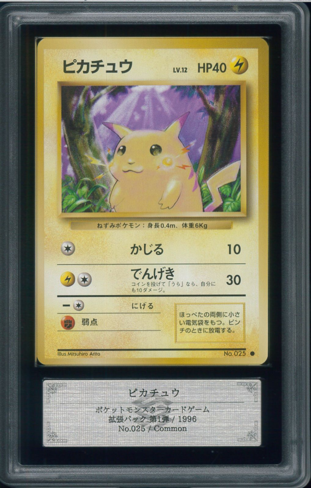 ARS10 ピカチュウ かじる 旧裏 旧裏面 拡張パック 第1弾 pikachu No.25