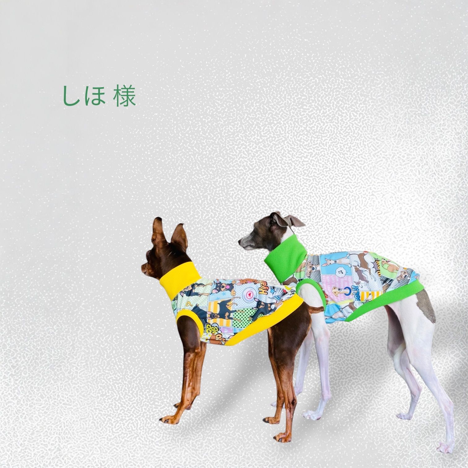 しほ様専用 【公式通販】