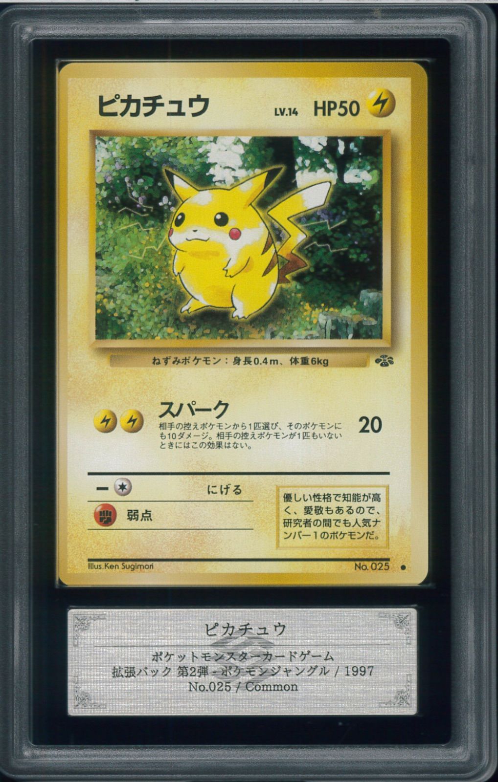 ARS10 ピカチュウ LV14 旧裏 旧裏面 ポケモンジャングル pikachu No.25