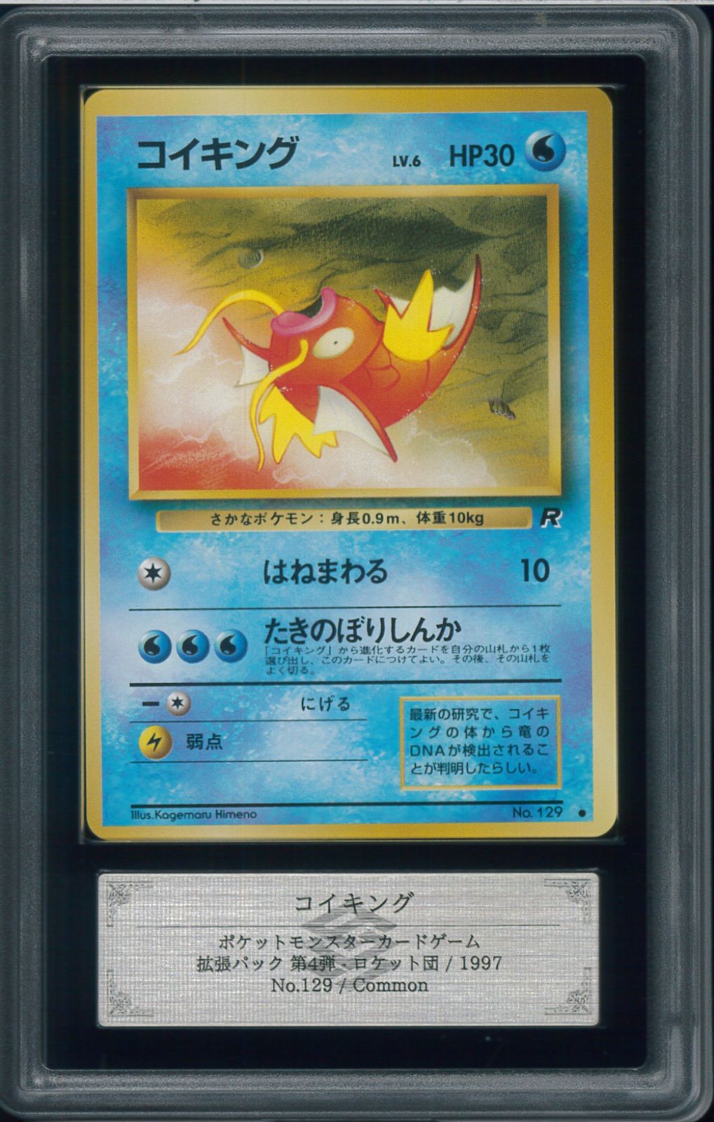 ARS10　コイキング　LV6　旧裏　旧裏面　ロケット団　Magikarp　No.129　ポケモンカード　P003162 50,880円