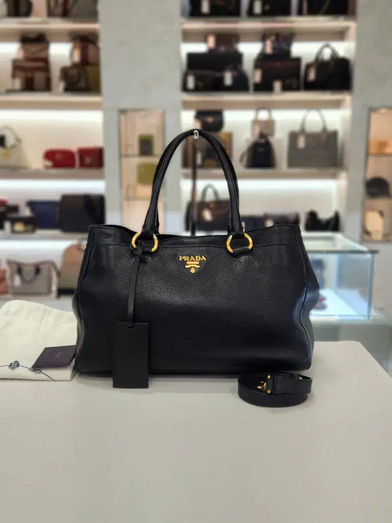 PRADA ビテロ ダイノ トゥー ショルターバッグ BR4393