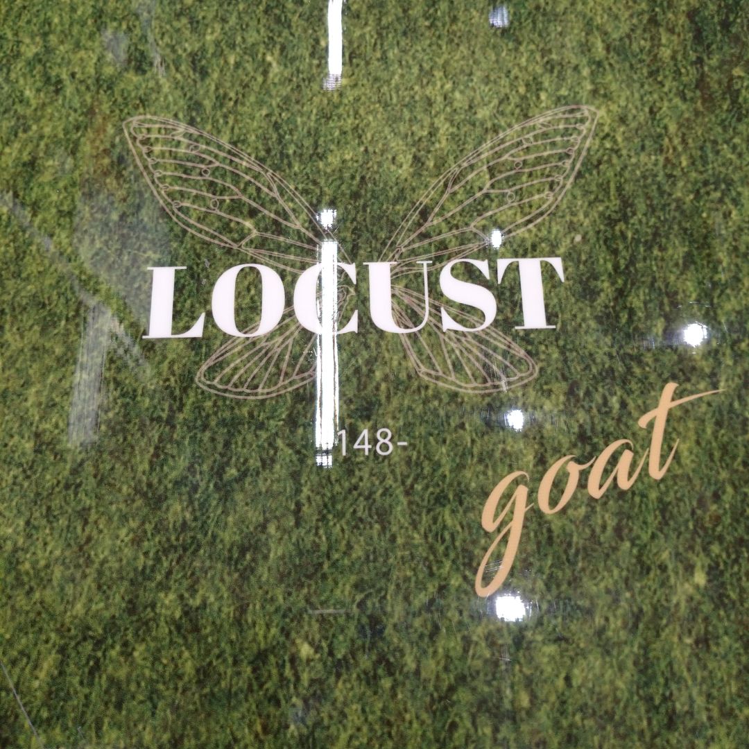 USE509【ムラスポ公式】CROOJA クロージャ LOCUST ローカスト 148cm 22