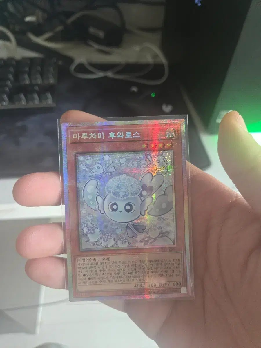 マルチャミ フワロス フシク