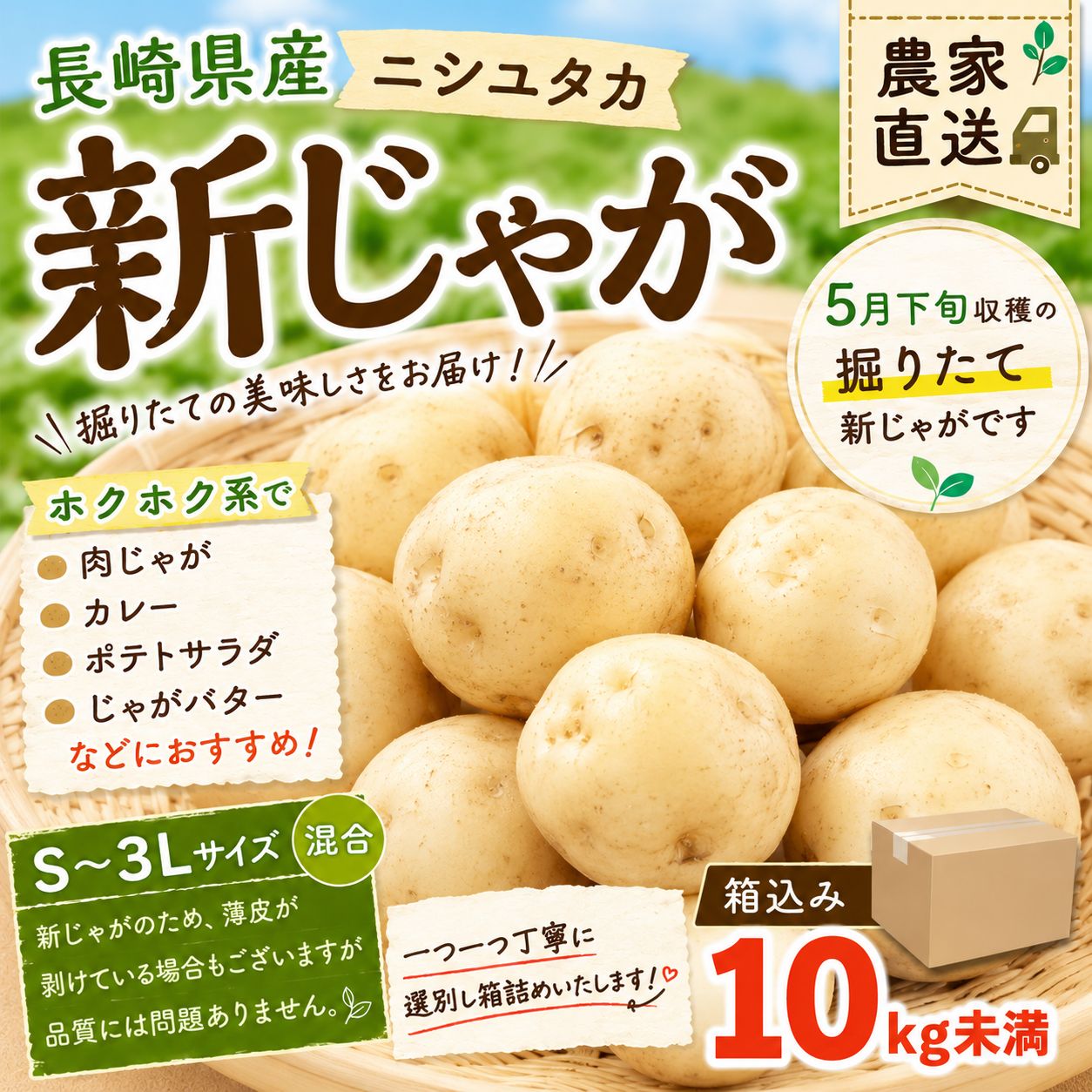 新じゃがいも ニシユタカ 長崎県産 10kg 新鮮 農家直送 - メルカリ