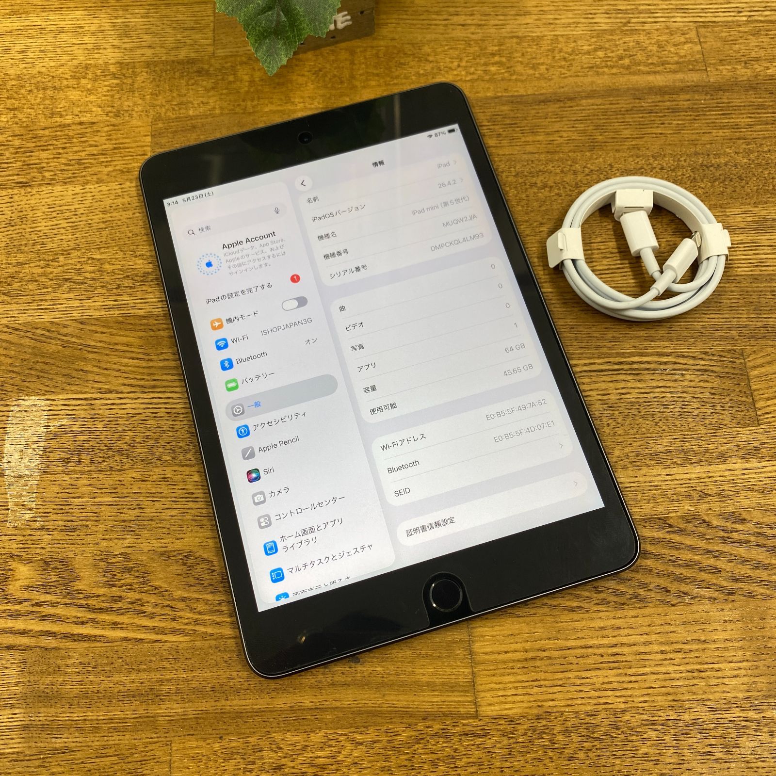 iPad mini 5 スペースグレイ 64Gb Wi-Fiモデル 送料無料-Tensorチップを