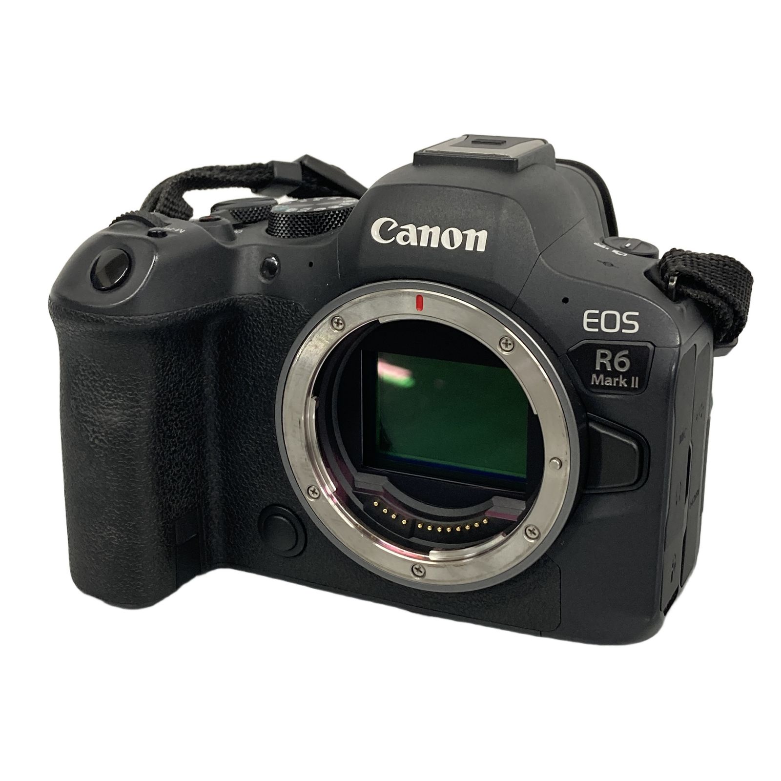 キヤノン EOS R6 Mark II 35mmフルサイズ マウント:キヤノンRFマウント デジタル一眼ボディ 中古 T11280397