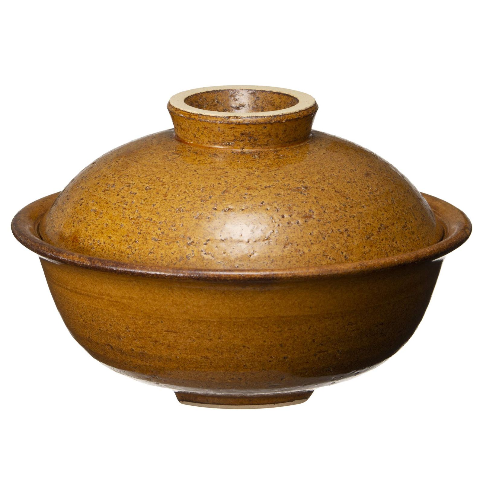 新品 長谷製陶 長谷園 土鍋 蒸し 小鍋 1-2人用 約21cm 約600ml 直火可 空焚きOK 電子レンジ オーブン対応 レシピ 陶製すのこ付 キャラメル色 伊賀焼 日本製 AIC-12