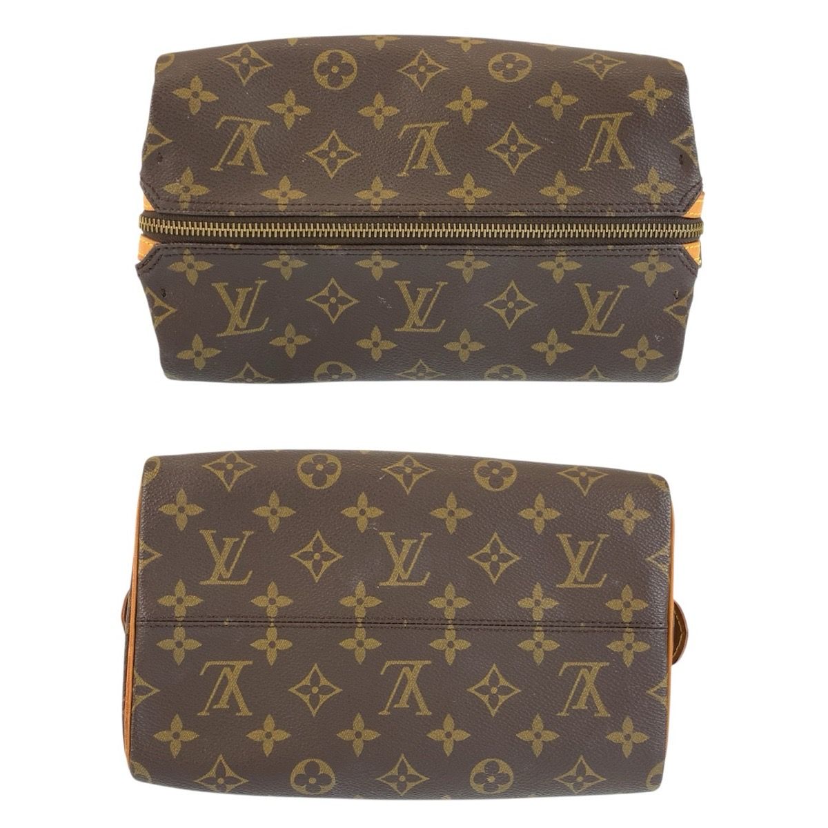 LOUIS VUITTON ルイヴィトン モノグラム トゥルース パット プレシオン 