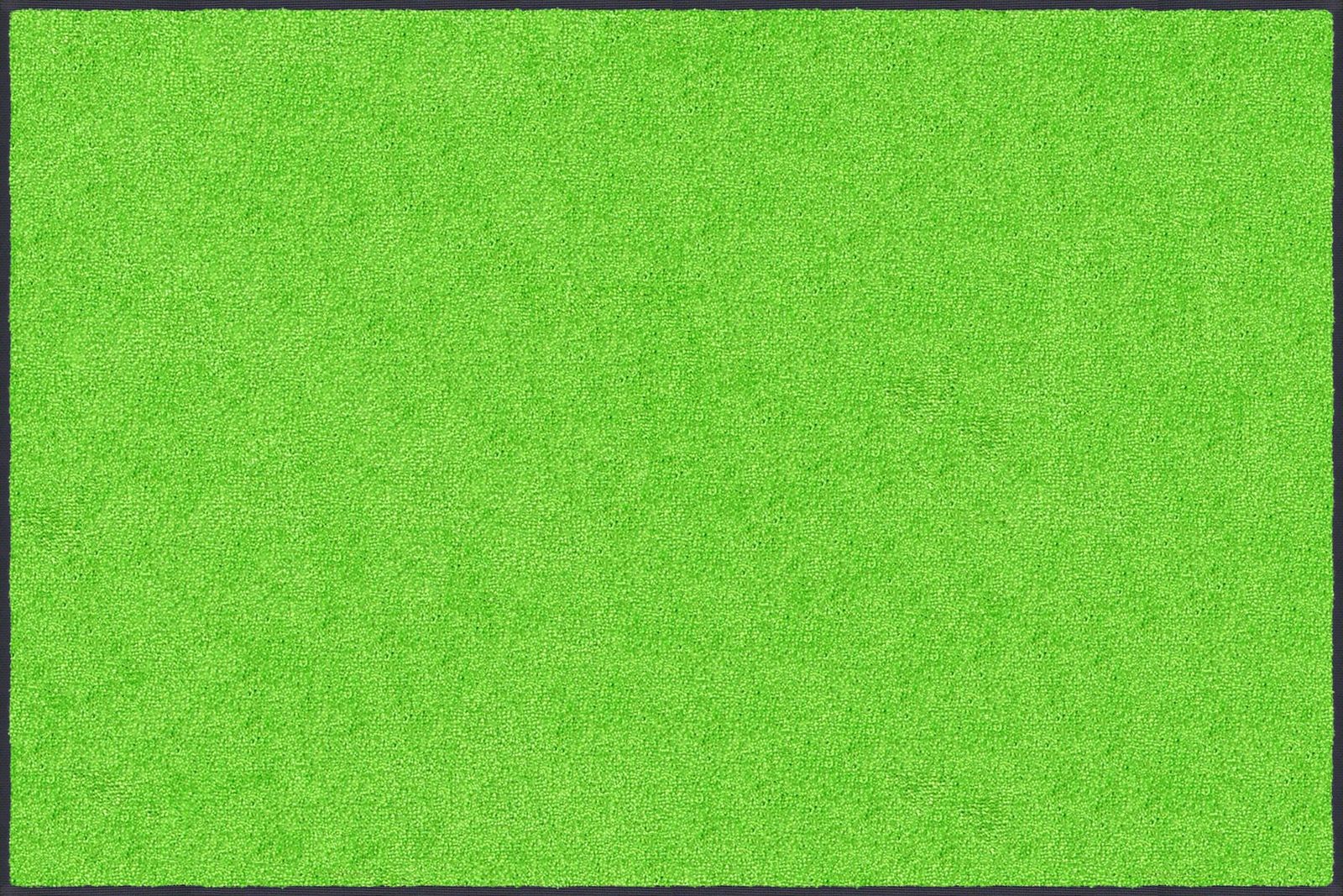 新品 日本製 クリーンテックス・ジャパン(Kleen-Tex) 万能玄関マット スタンダードマットS ライム・グリーン 50×75cm AM00599
