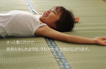 日本製 い草上敷 江戸間10畳（440×352cm） 松 まつ