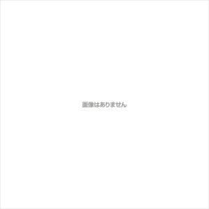 【新品・3営業日で発送】新越ワークス(Shinetsu-Works) TSステンレス 寸胴底上げ網45cm用【ASK9601】