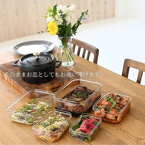 保存容器 エンバランス クリアコンテナ S x 2 L x 1 セット 日本製 食洗機対応 丈夫 割れにくい 冷凍 冷蔵 おしゃれ タッパー 355631★ 3a3f638d