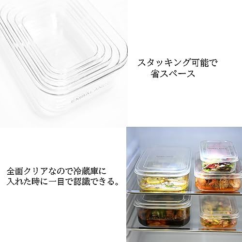 保存容器 エンバランス クリアコンテナ S x 2 L x 1 セット 日本製 食洗機対応 丈夫 割れにくい 冷凍 冷蔵 おしゃれ タッパー 355631★ 3a3f638d
