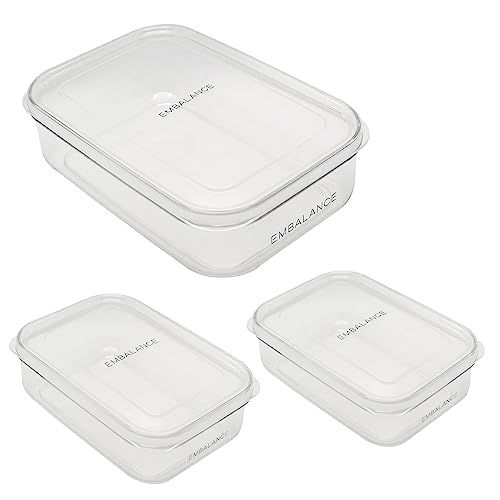 保存容器 エンバランス クリアコンテナ S x 2 L x 1 セット 日本製 食洗機対応 丈夫 割れにくい 冷凍 冷蔵 おしゃれ タッパー 355631★ 3a3f638d
