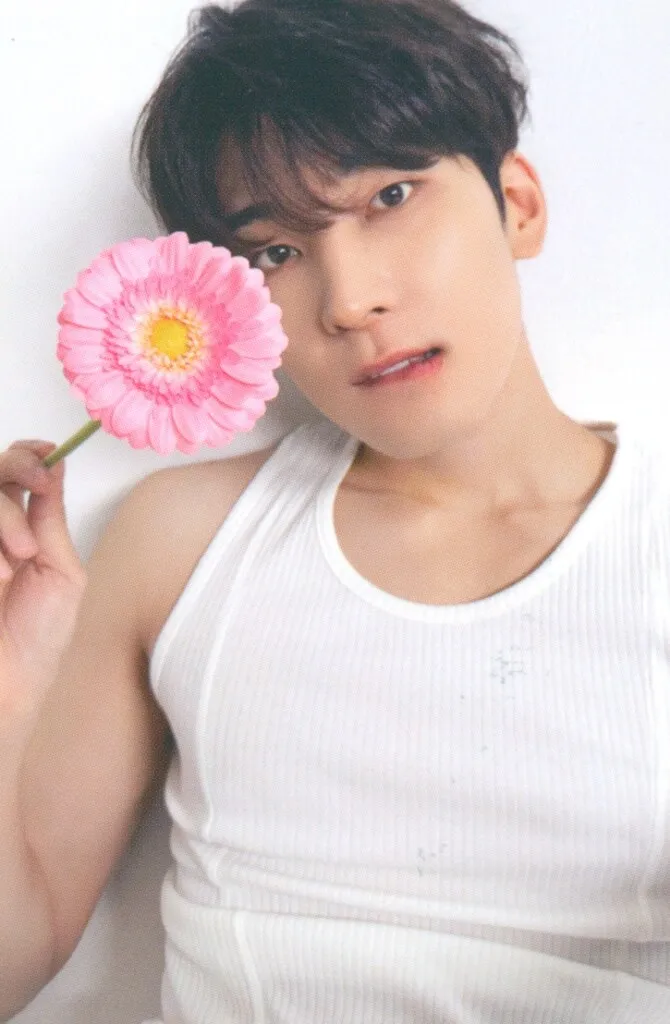 Wonwoo - 17 IS RIGHT HERE Album PC photocard photocard