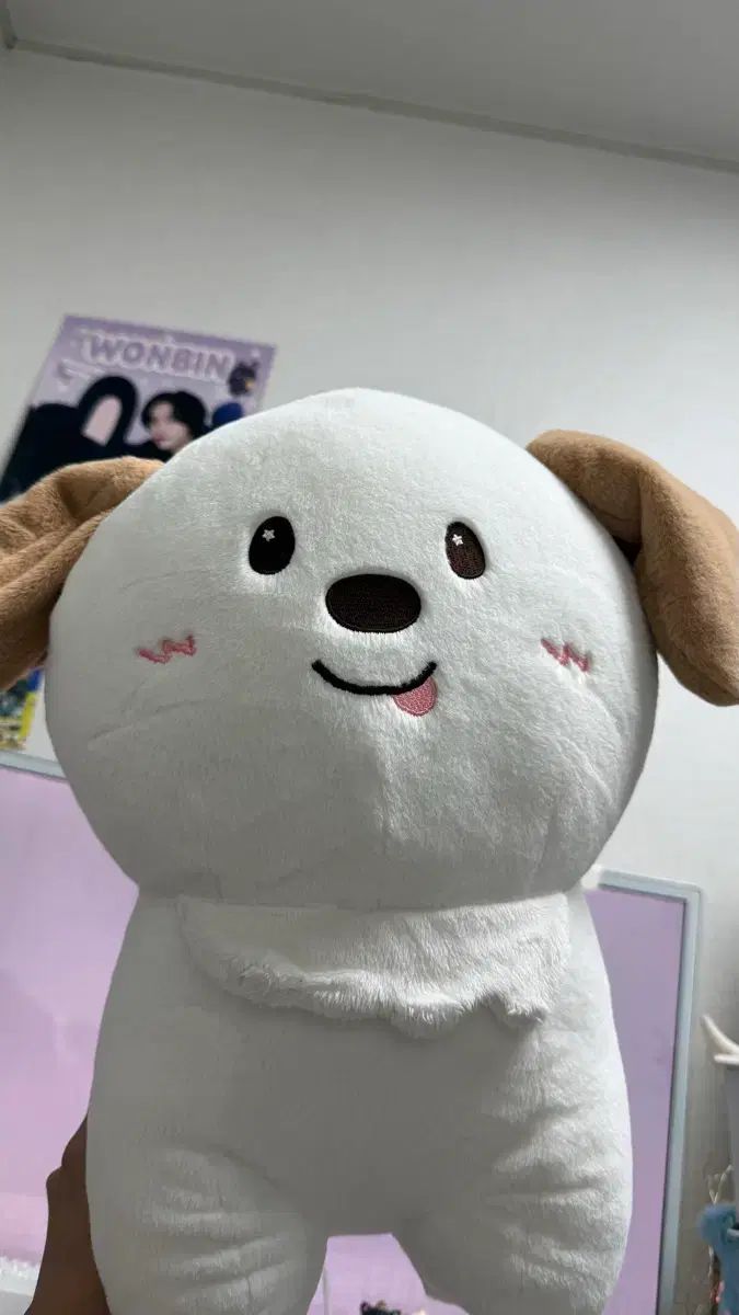 40cm あずまんが大王 멍룡이