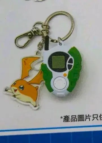 個人購入IN