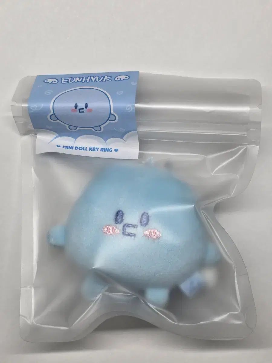 ウニョク(EUNHYUK) ぬいぐるみ 19周年 キーホルダー 19th anniversary mini doll