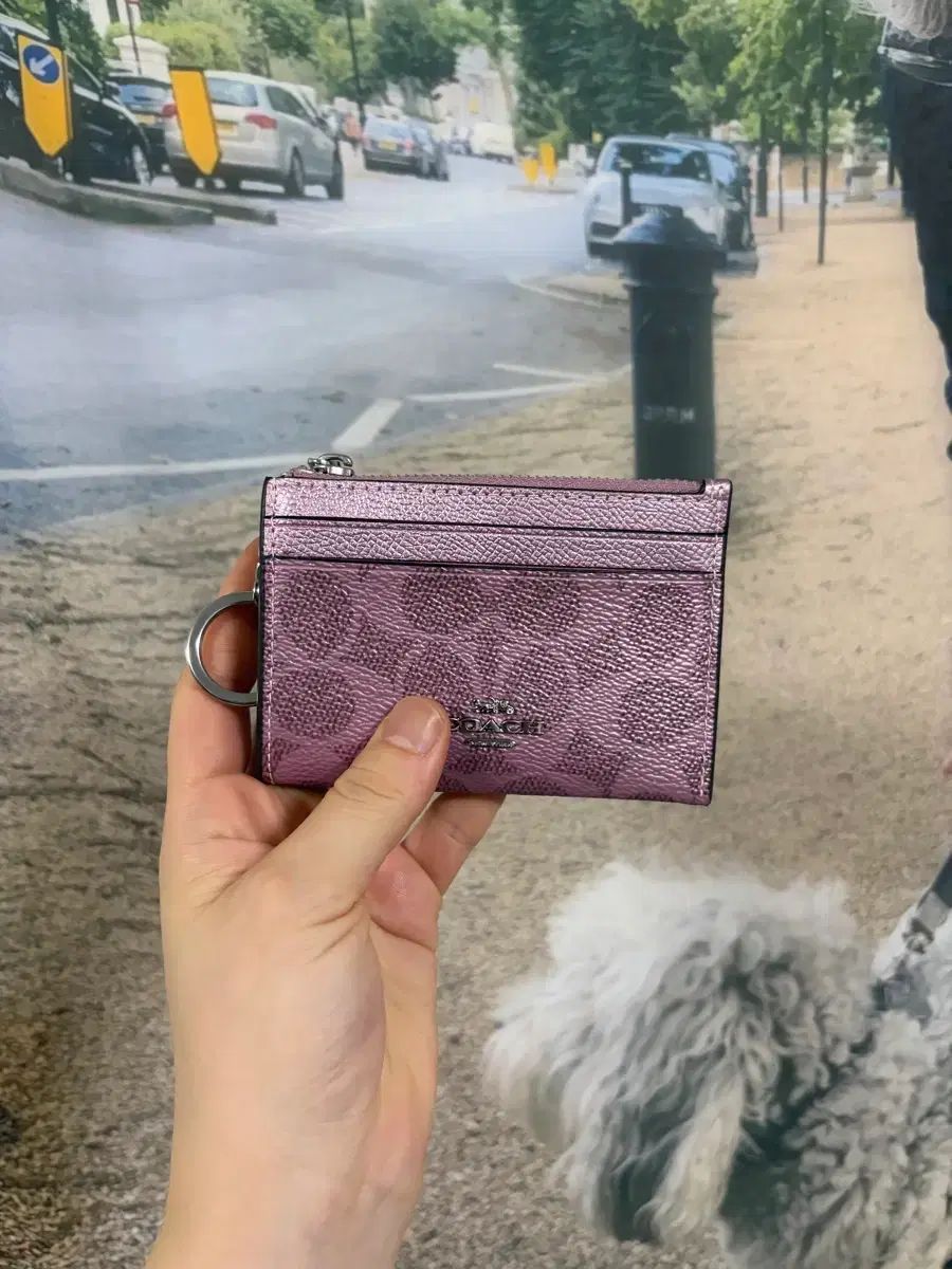 COACH コーチ カードウォレット キーホルダー シグネチャー ピンク