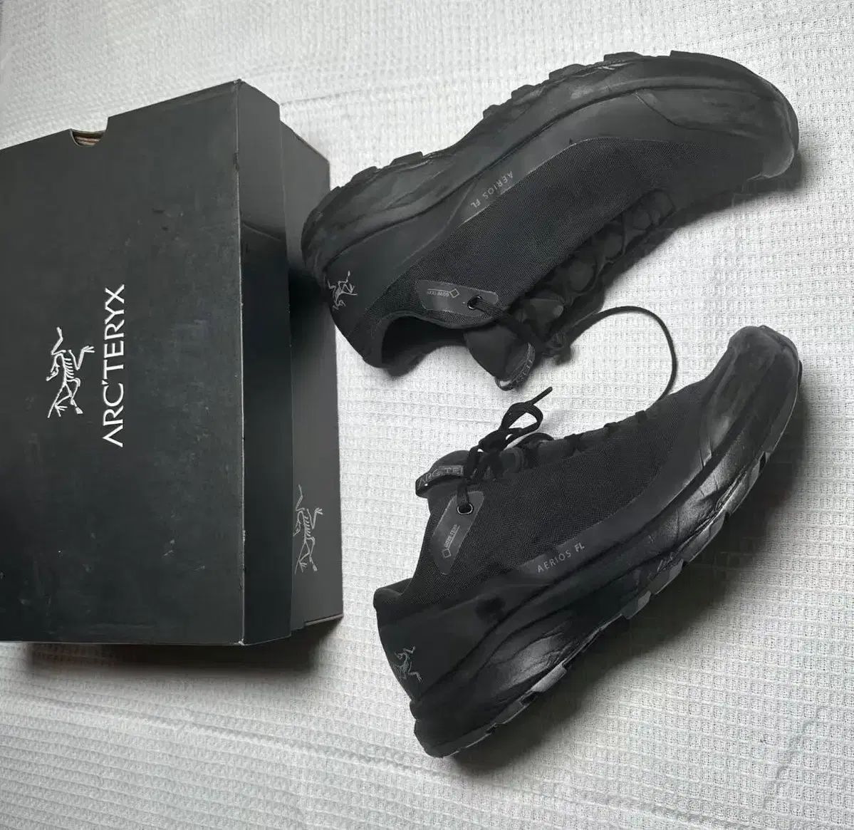 アークテリクス エアリオス FL GTX 270mm