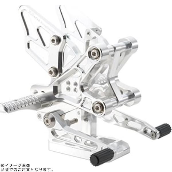 r's gear アールズギア AC01-0100-CL ライディングステップ (クリアシルバー) ZX-25R・ZX-4R