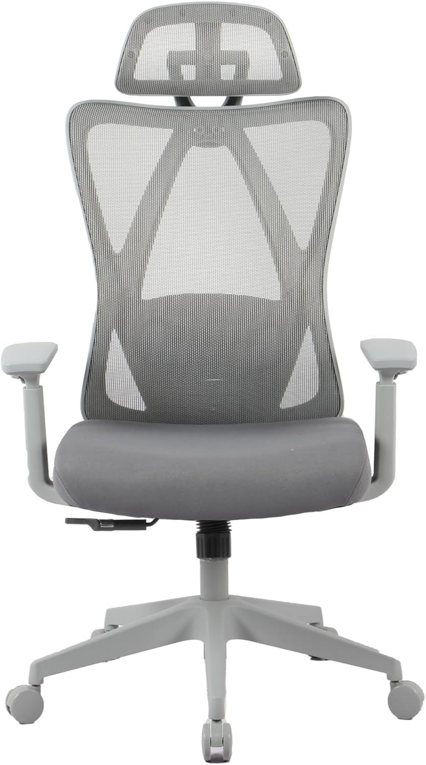FLEXISPOT オフィスチェア デスクチェア C5 多機能調節 ロッキング機能 固定可能 強弱調節可能 2Dランバーサポート メッシュ素材 肉厚座面 3Dアームレスト 2Dヘッドレスト 在宅勤務