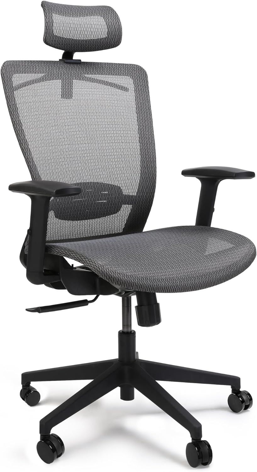 FLEXISPOT オフィスチェア デスクチェア OC3 多機能調節 シンクロロッキング 3段階固定 メッシュ素材 2Dヘッドレスト アームレスト ランバーサポート 静音キャスター コートラック付き