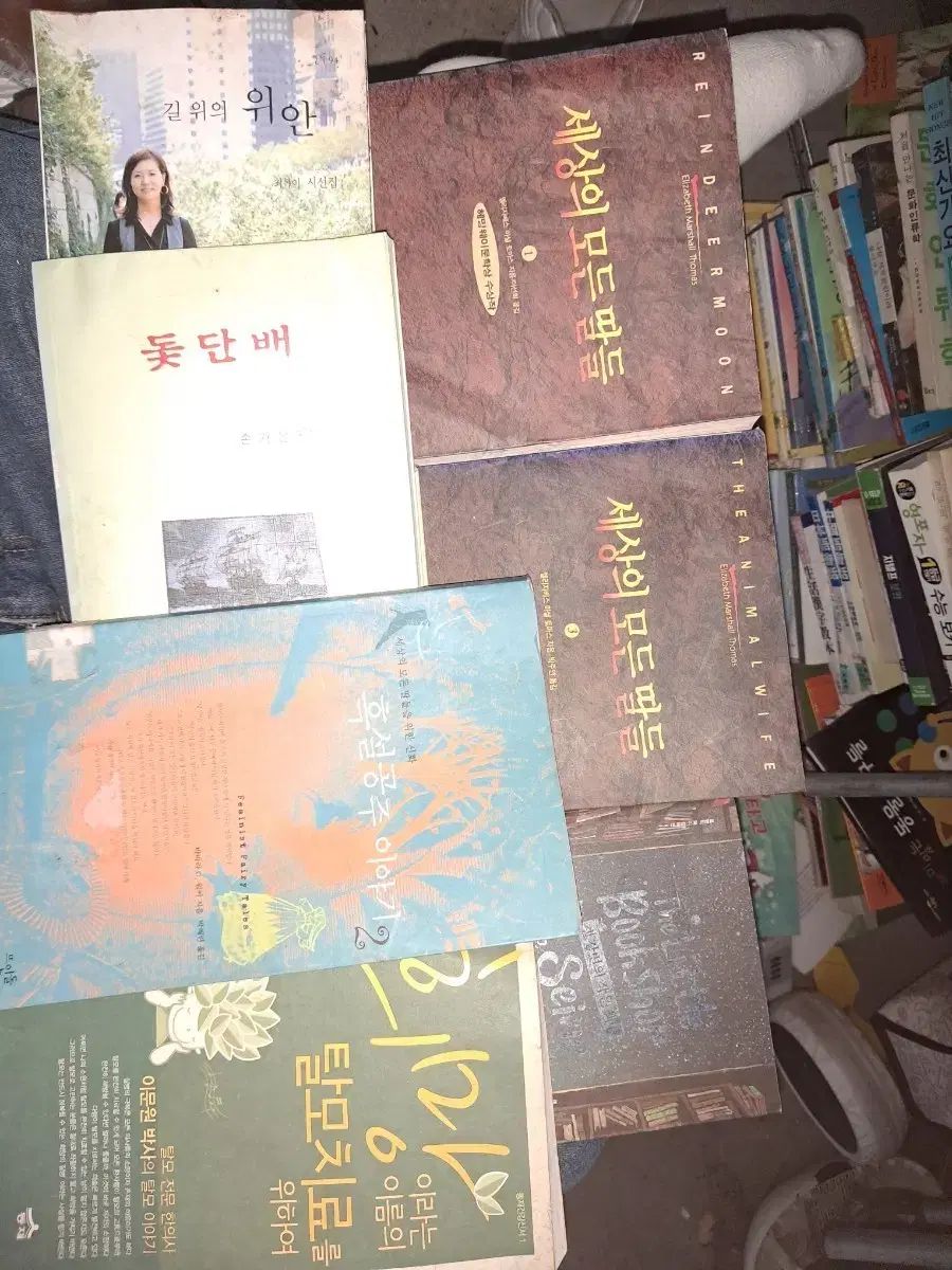 中古書籍コレクション (小説/人文/自己啓発)