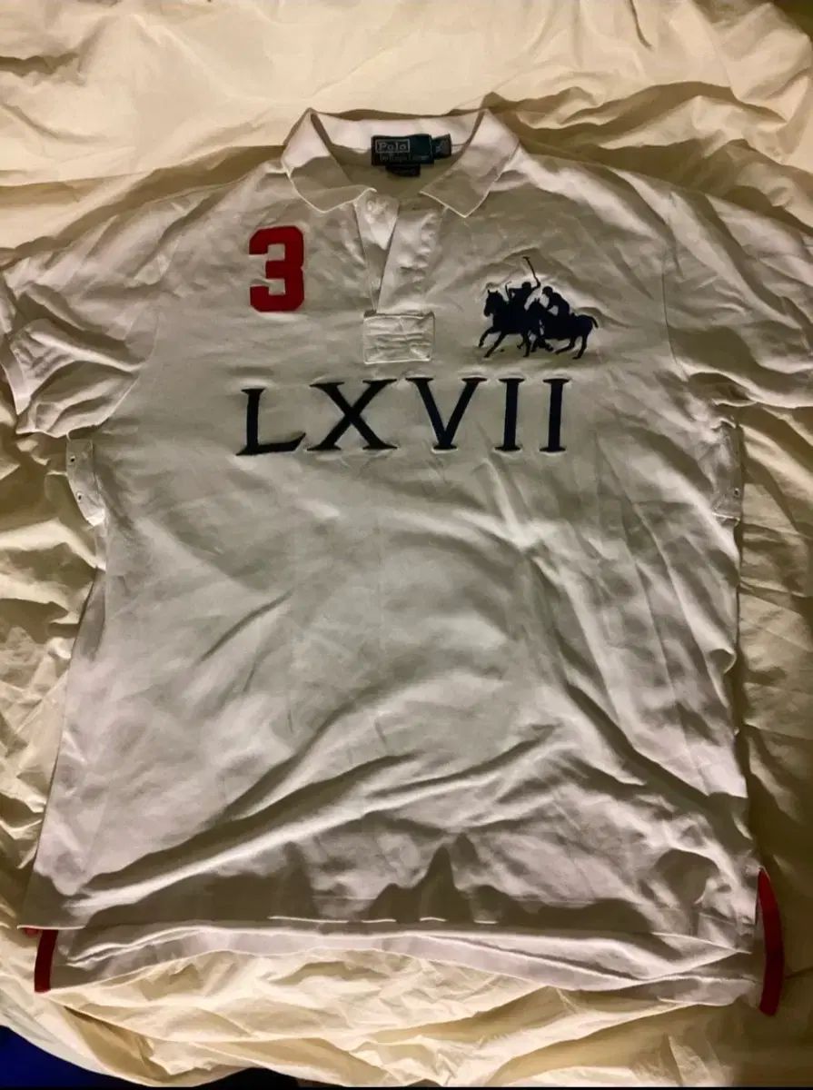 ポロ ビックポニー LXVII カラーTシャツ