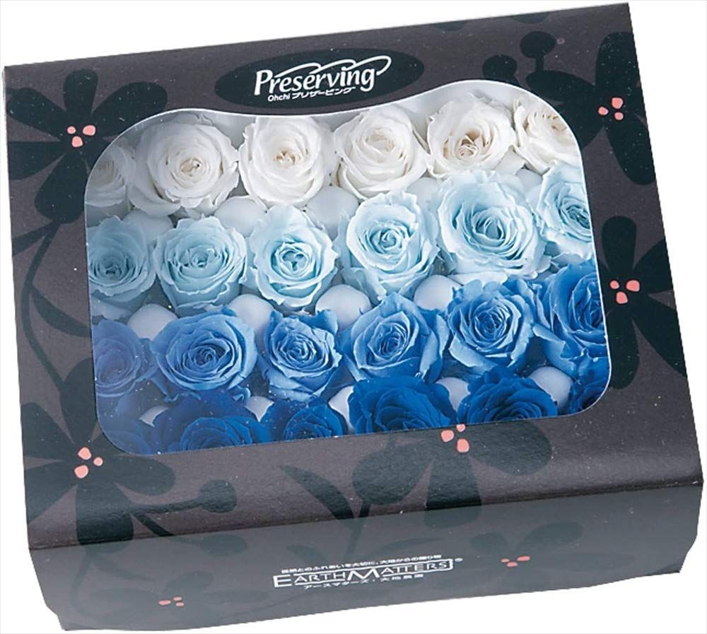新品 大地農園 プリザーブドフラワー ビビアン・カラーアソート ブルーミックス 約花径2~3×H約2~2.8cm 24輪入 DO002374-660