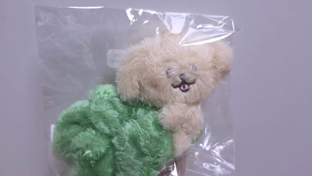 未開封 NCT(エヌシーティー) WIND AND WISH SCRUNCH 댕트リーバー 6,329円