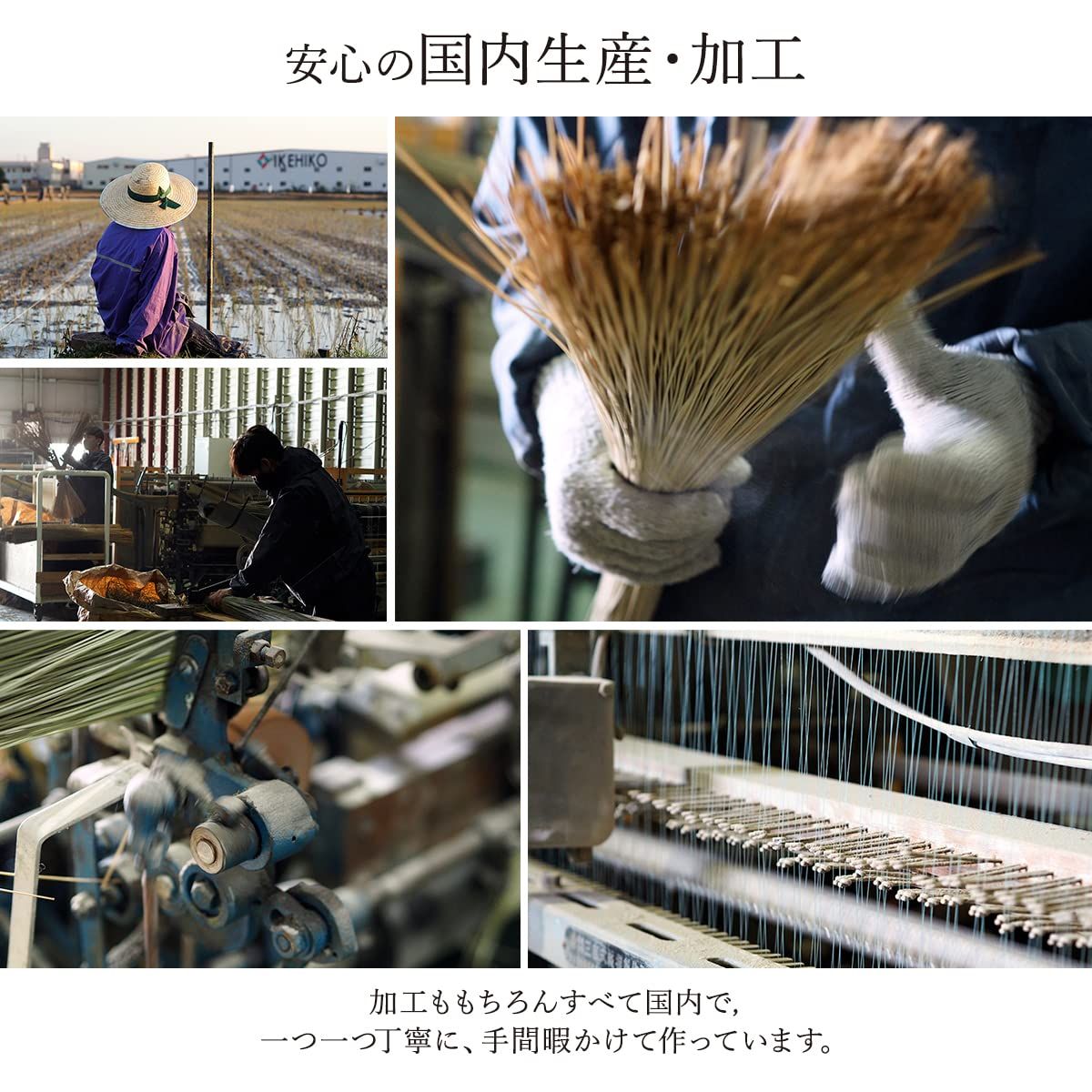 新品 イケヒコ い草花ござカーペット 純国産 ランクス ネイビー 174×174cm江戸間2畳 4131502