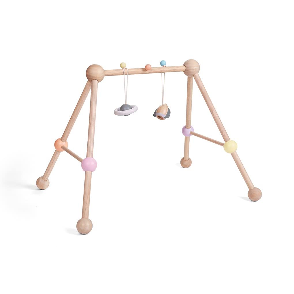 新品 プラントイジャパン(PLANTOYS JAPAN) プレイジム 5260