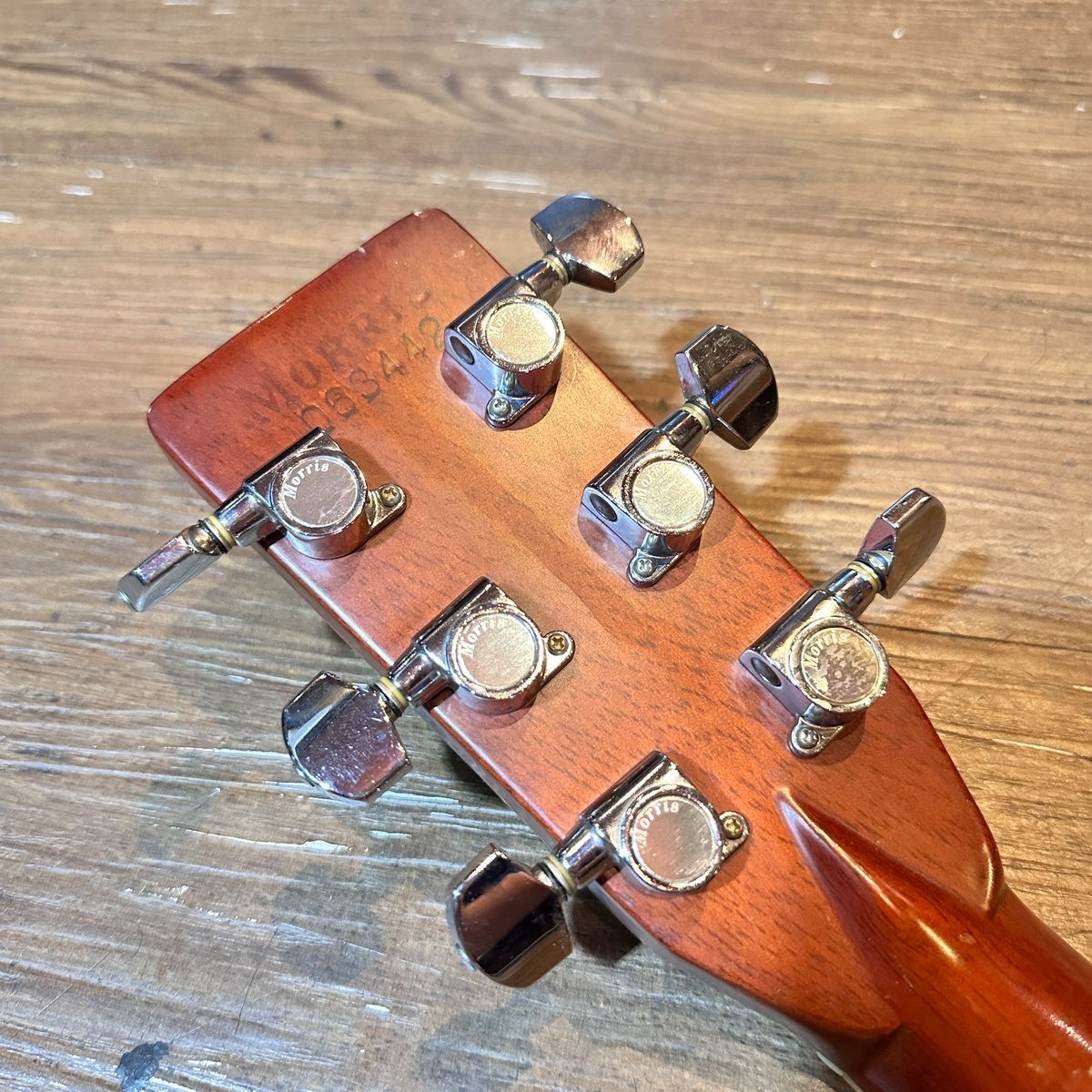 Morris W-50 TF 1980年製 Acoustic Guitar Made in Japan