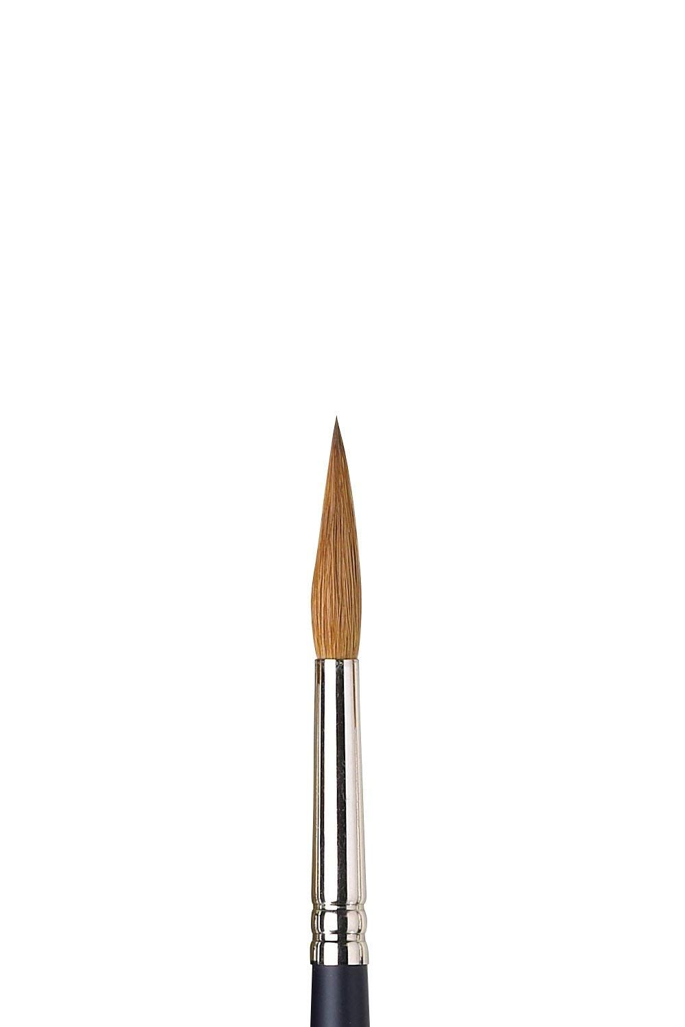 新品 ウィンザー&ニュートン 水彩筆 プロフェッショナルウォーターカラー セーブルブラシ ポインテッド ラウンド No.8 19902208