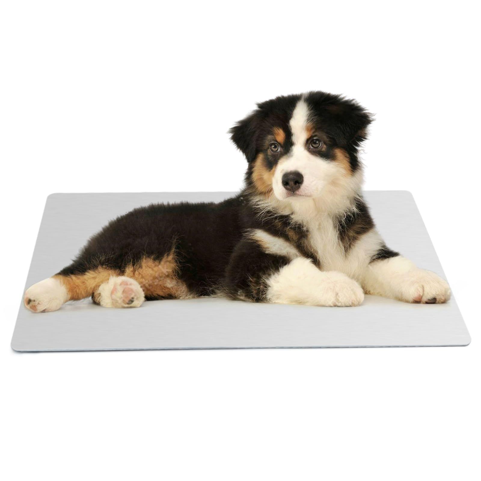 MARUNDA 犬用ひんやりプレート 猫涼感マット クール アルミ製 49.8*29.8cm 涼しい 冷感シート 夏グッズ 暑さ対策 熱中症防止 大きいサイズ 大型犬★ 1b57426c