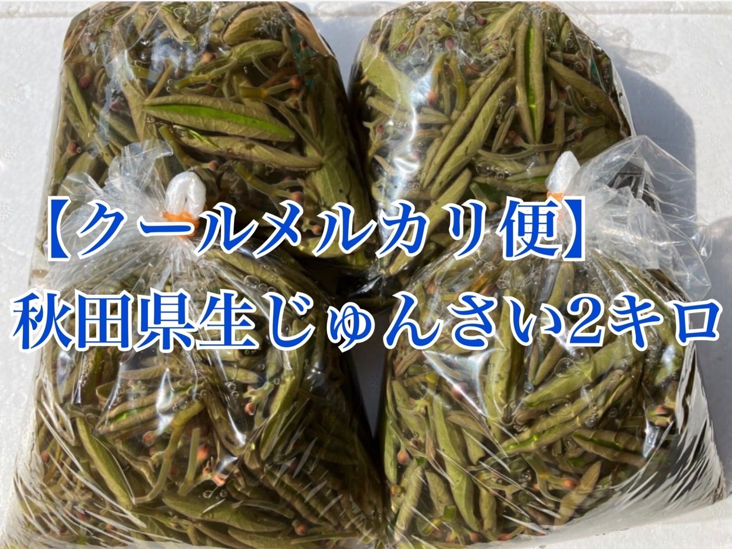 食品 秋田県 生じゅんさい 2キロ
