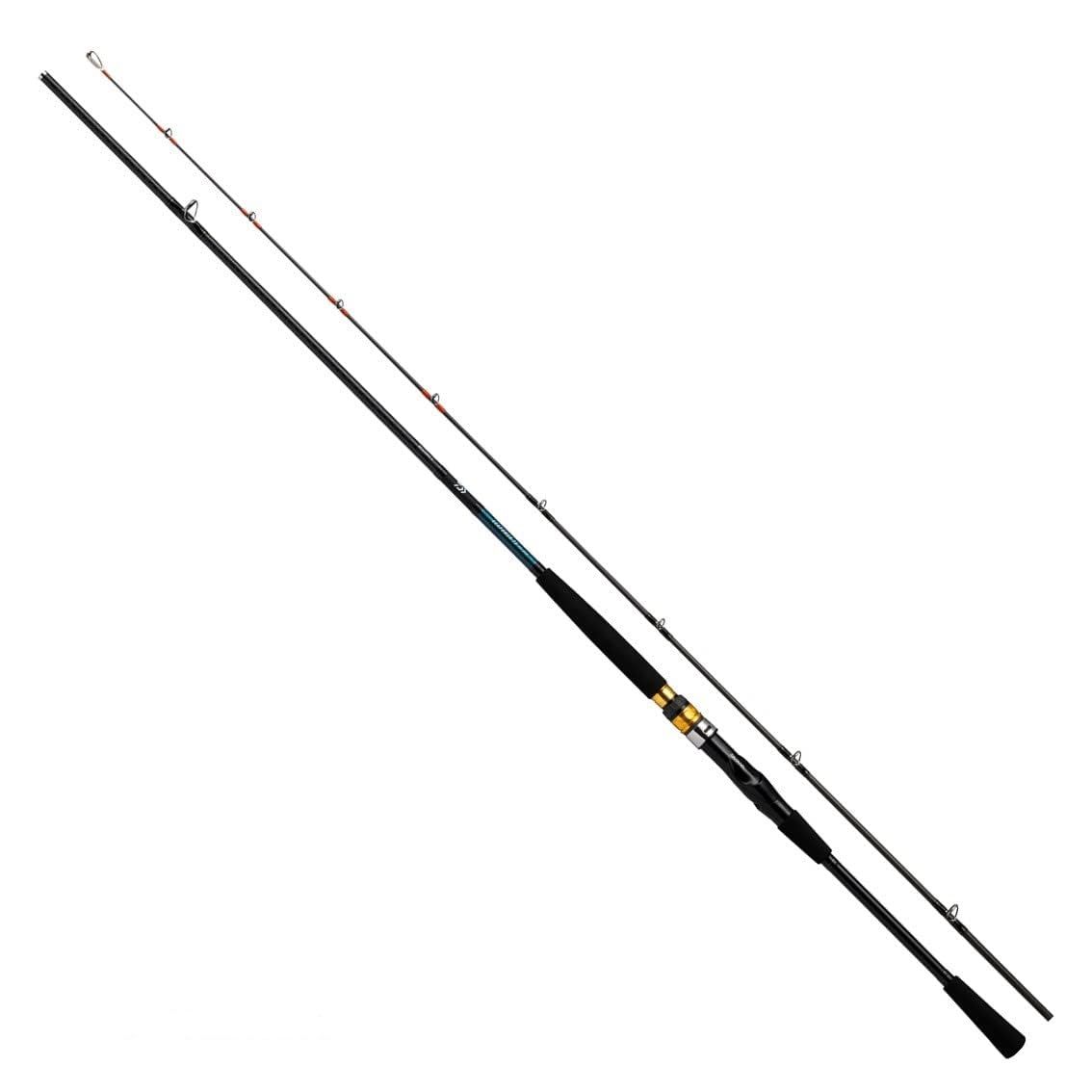 新品 ダイワ(DAIWA) シーパワー73 30-300・N ブラック