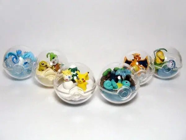 ポケットモンスター テラリウム コレクション 2탄 未開封ボックス 出品