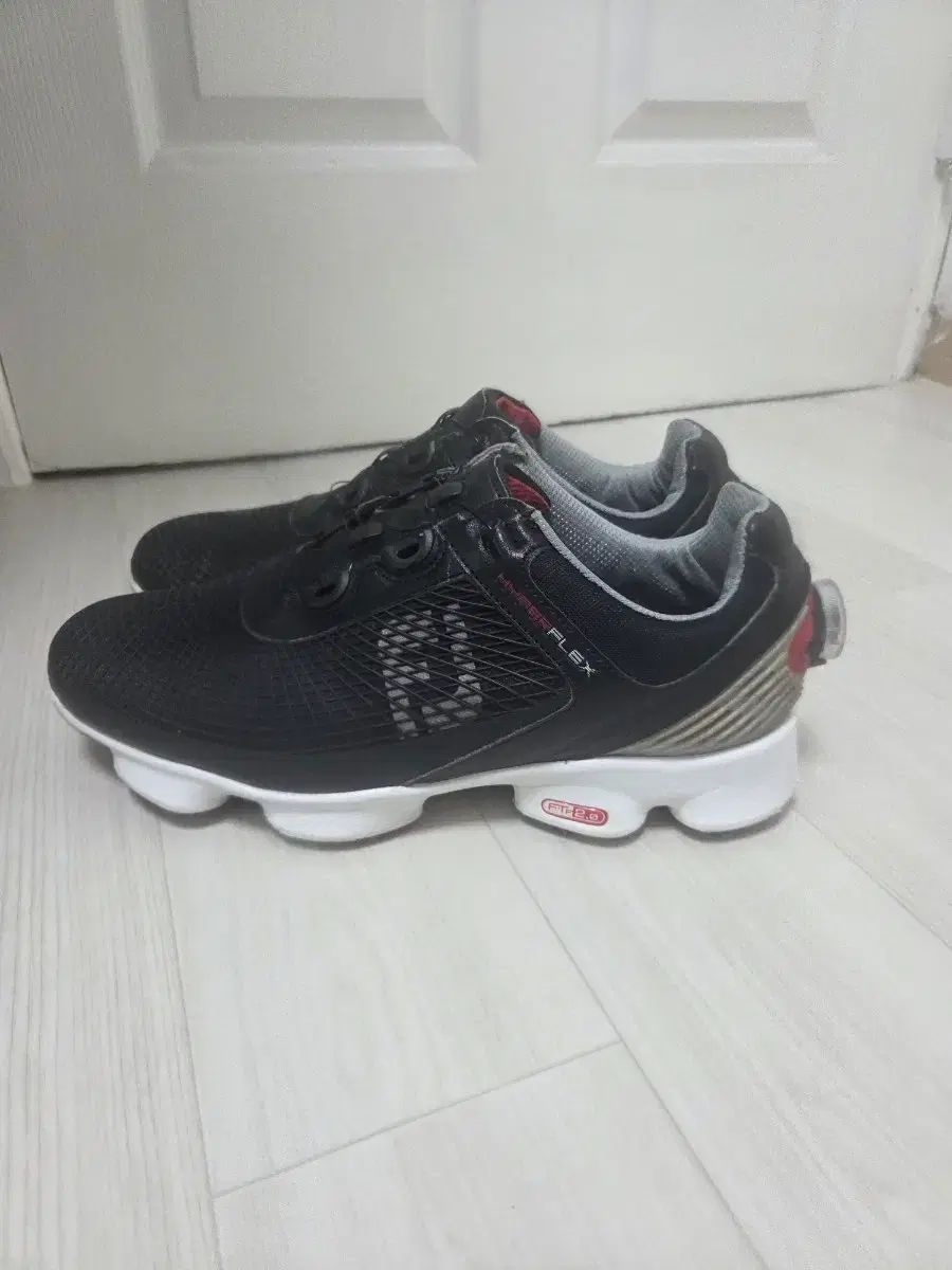 FootJoy BoA メンズゴルフシューズ 実際に着用 255ミリ