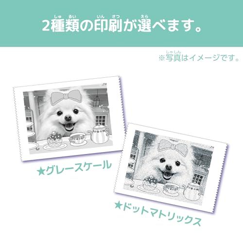 セガフェイブ (SEGA FAVE) PRINT CAMERA プリカ ミントグリーンY fdeb78a1 セガフェイブ (SEGA FAVE) PRINT CAMERA プリカ ミントグリーンY fdeb78a1